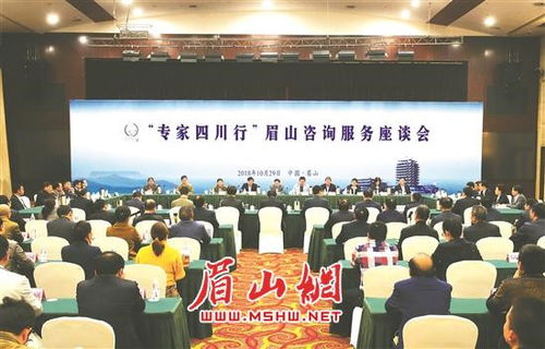 專(zhuān)家四川行 眉山咨詢(xún)服務(wù)座談會(huì)成功舉行，共繪發(fā)展新藍(lán)圖